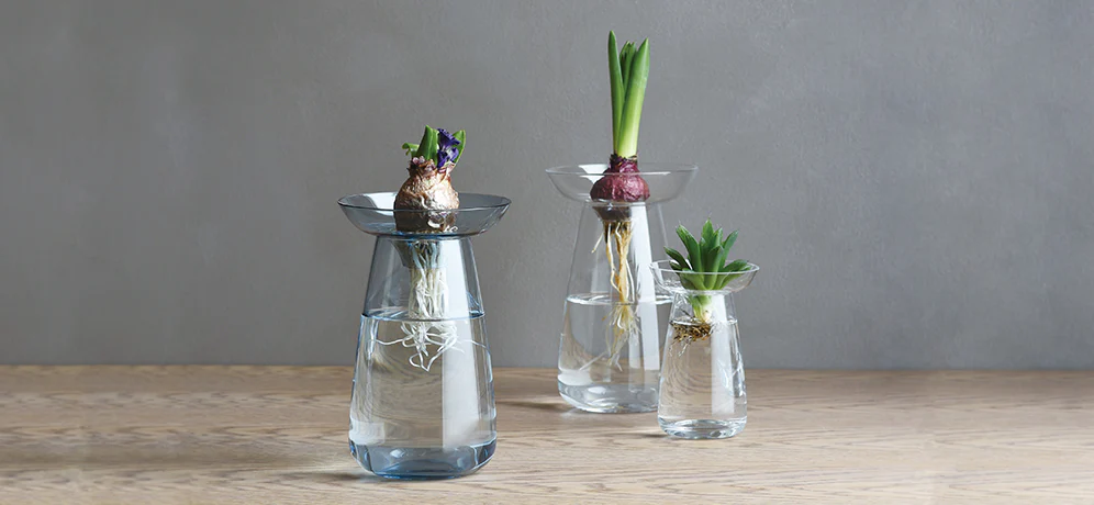 AQUA CULTURE VASE 120mm - Image 6