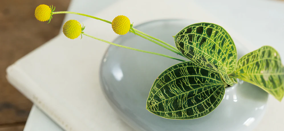 SACCO vase porcelain 01 - Image 8